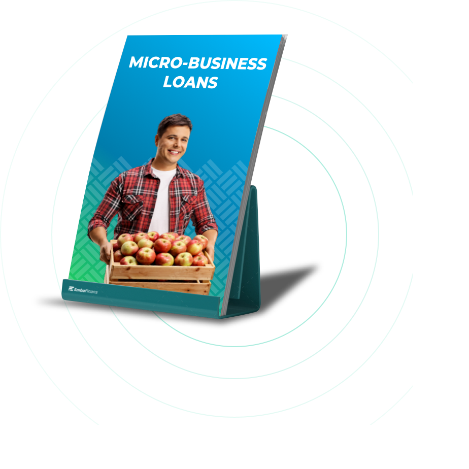 Micro-business loans